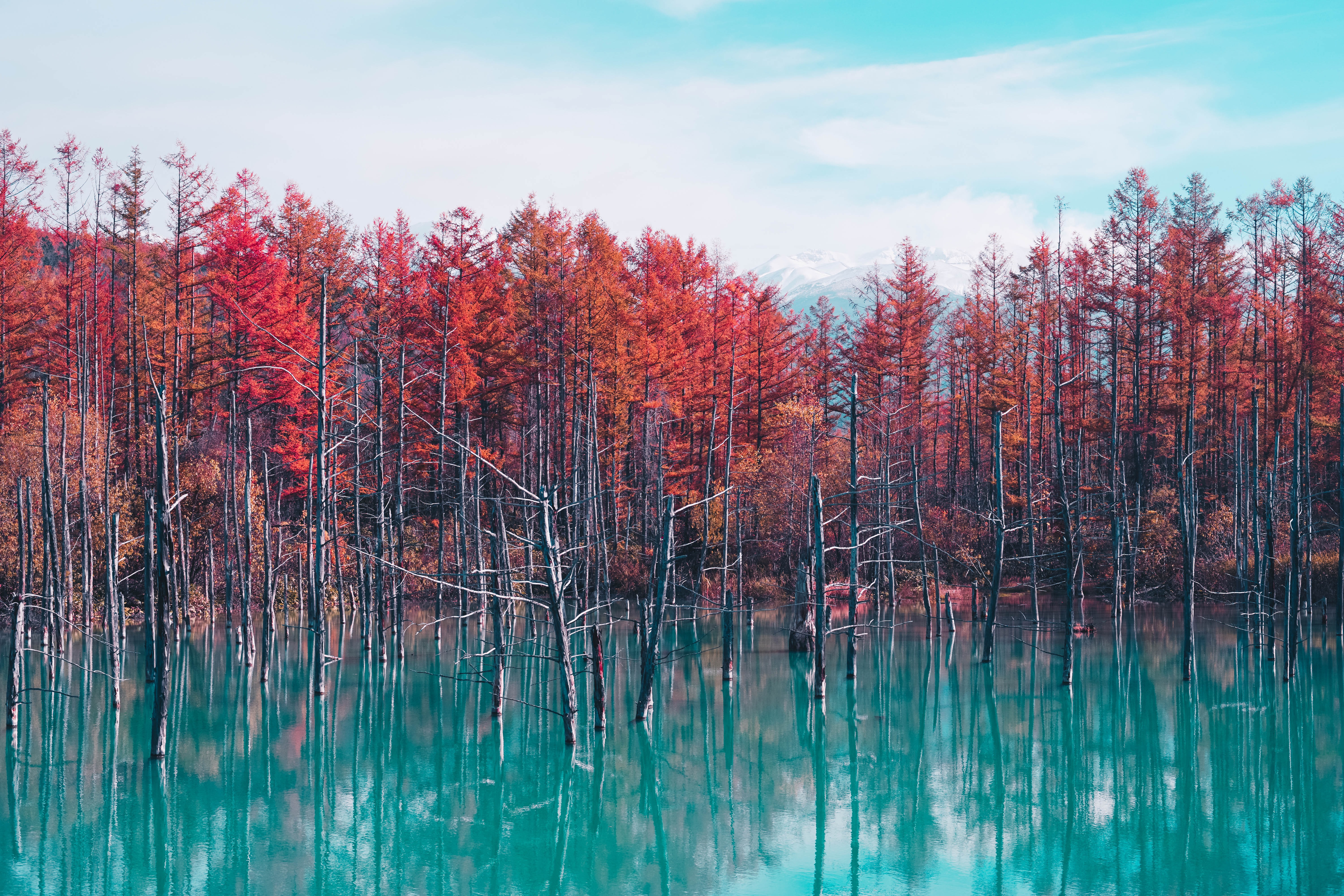 Etang au bleu éclatant, Hokkaido