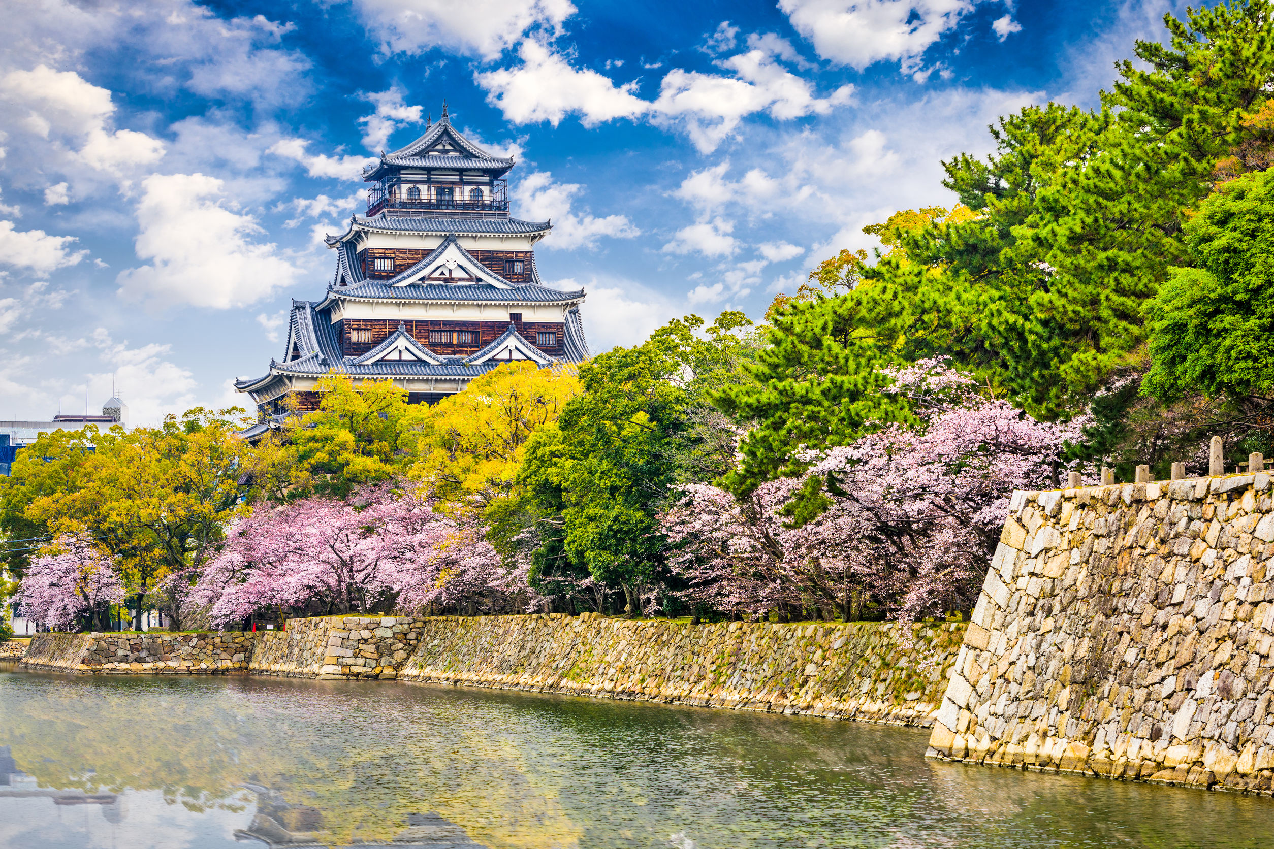 Hiroshima castle, famous for cherry blossom