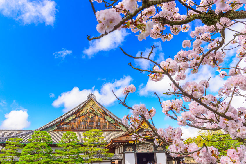 Le château de Nijo est un incontournable à visiter durant votre séjour à Kyoto