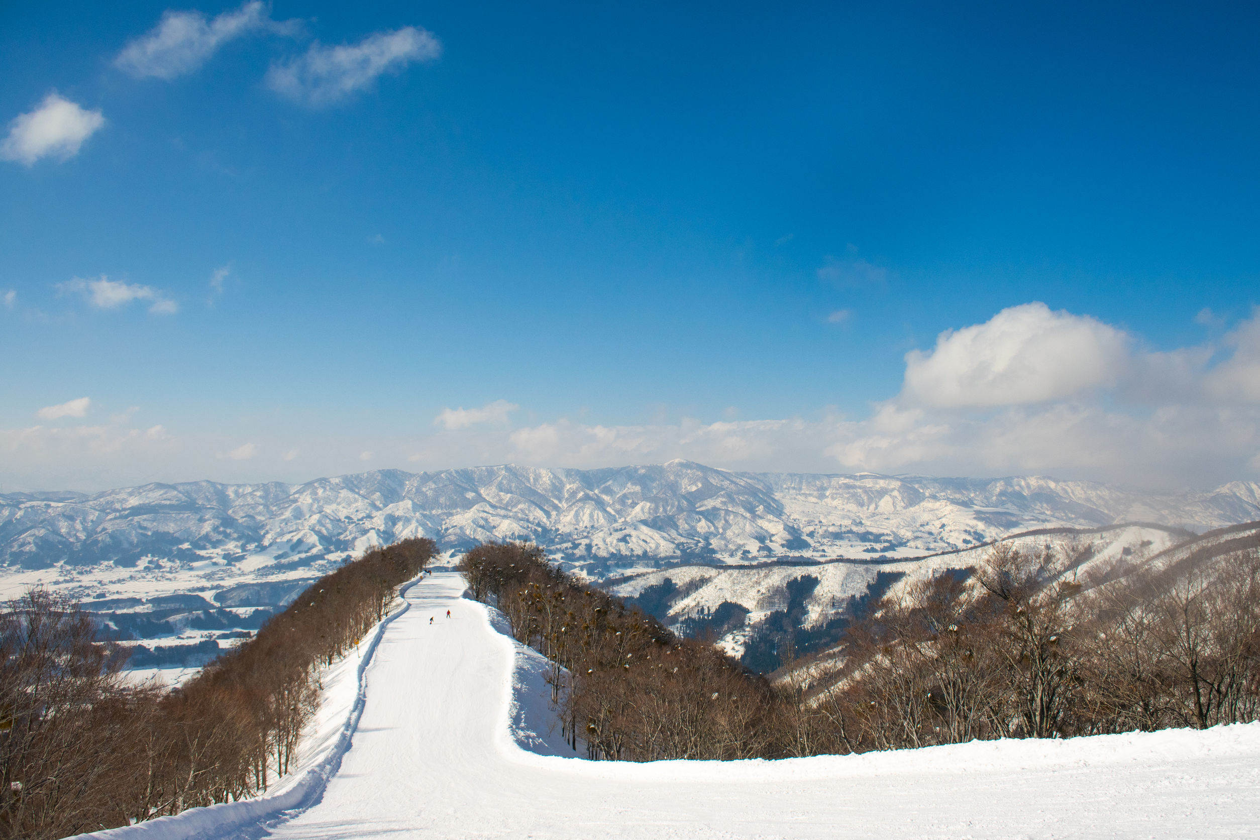 Piste de ski dans la station de Nozawa Onsen, région de Nagano, dans les Alpes Japonaises