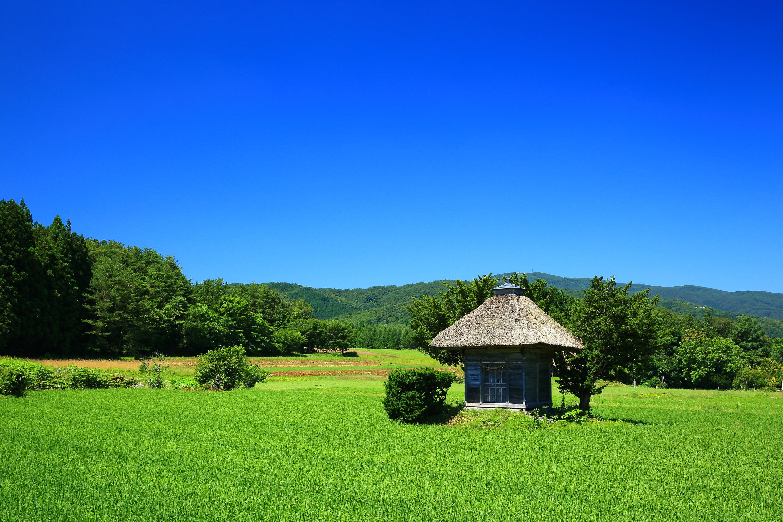 Sanctuaire au milieu des rizières dans la région de Tono - Tohoku, Japon
