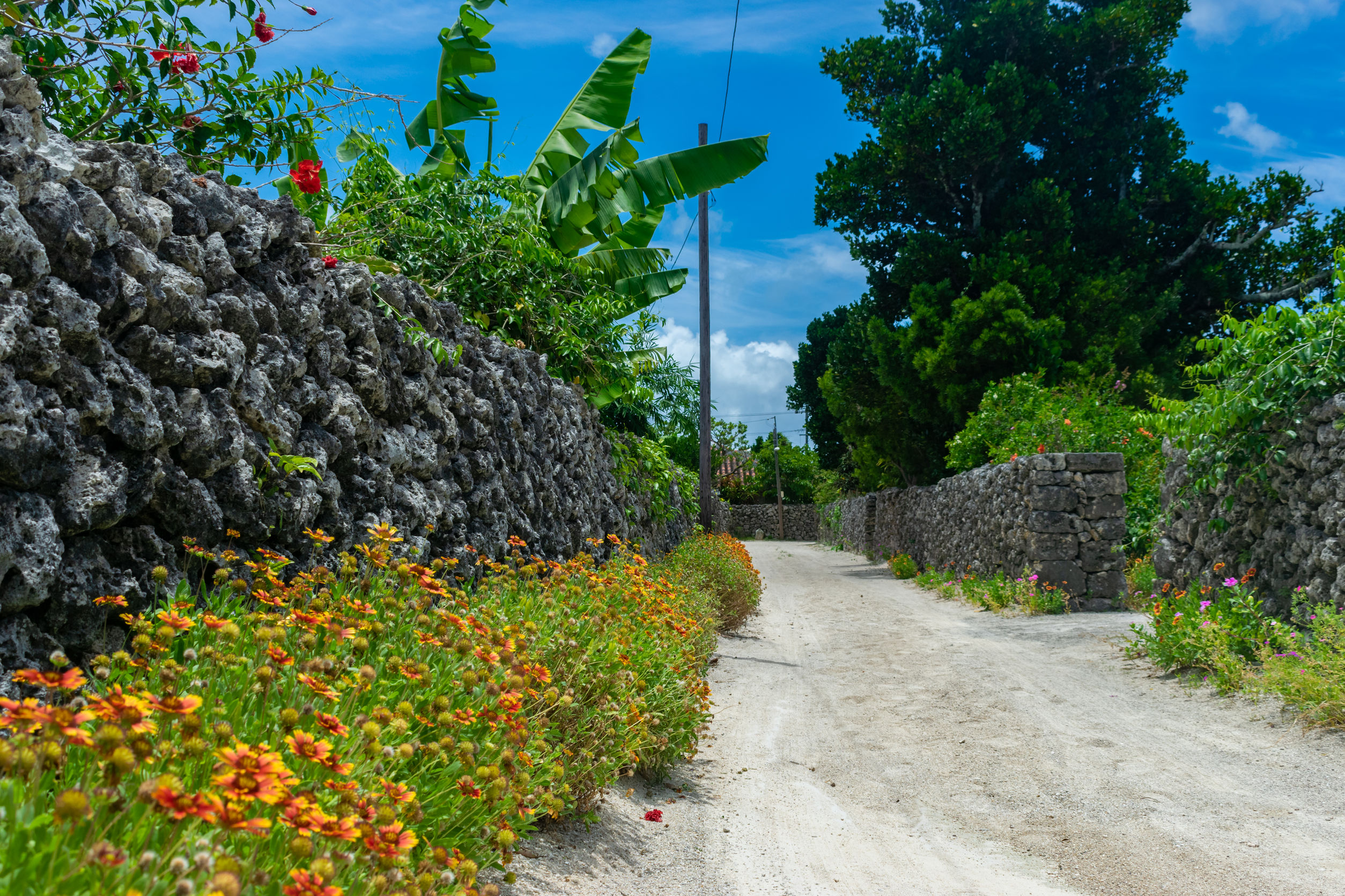 L'île village de Taketomi, dans l'archipel d'Okinawa est à découvrir en vélo ou à pied. Les maisons sont souvent surmontées de shisa, l'animal mythique de l'archipel.