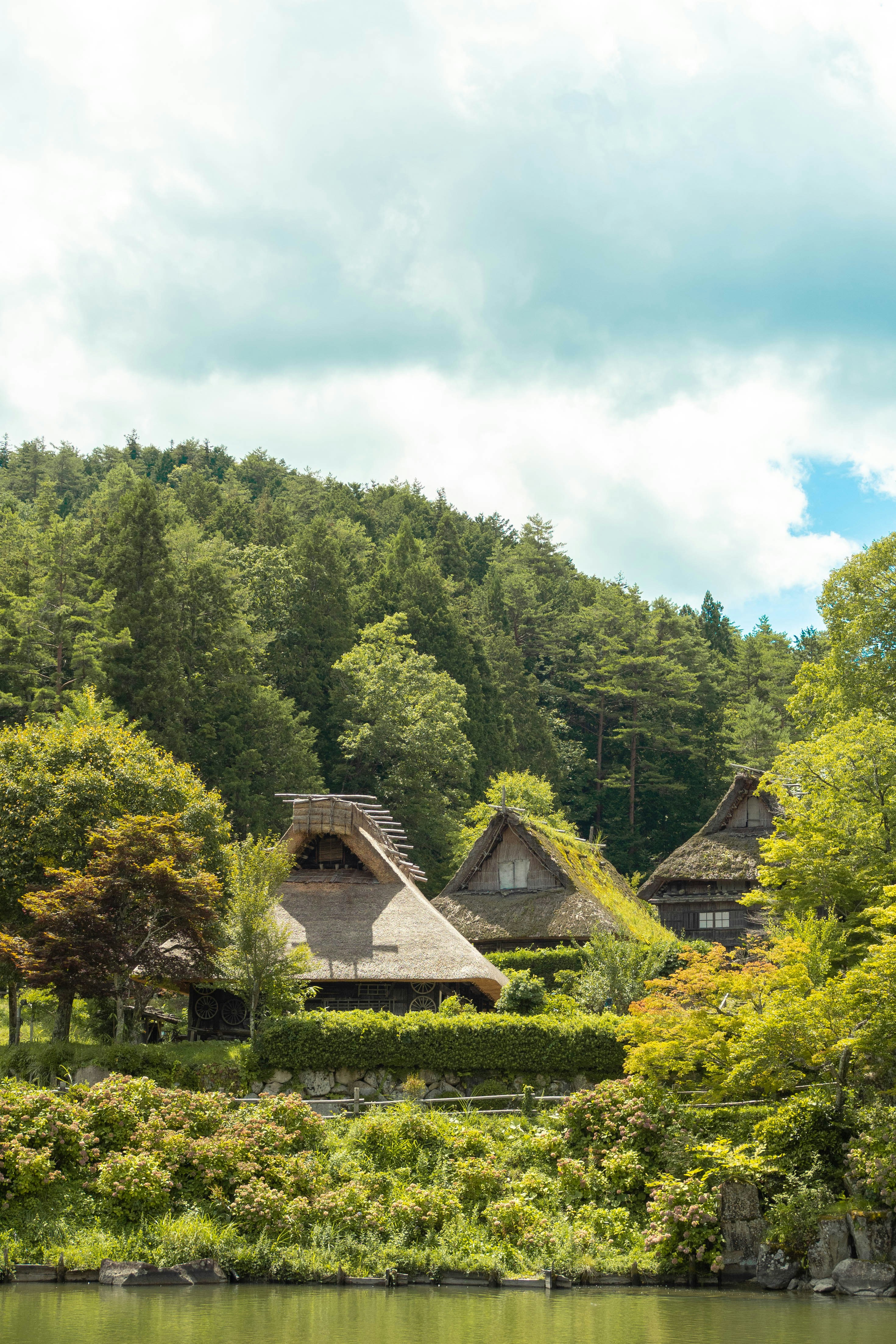 Group of houses on the edge of a lake