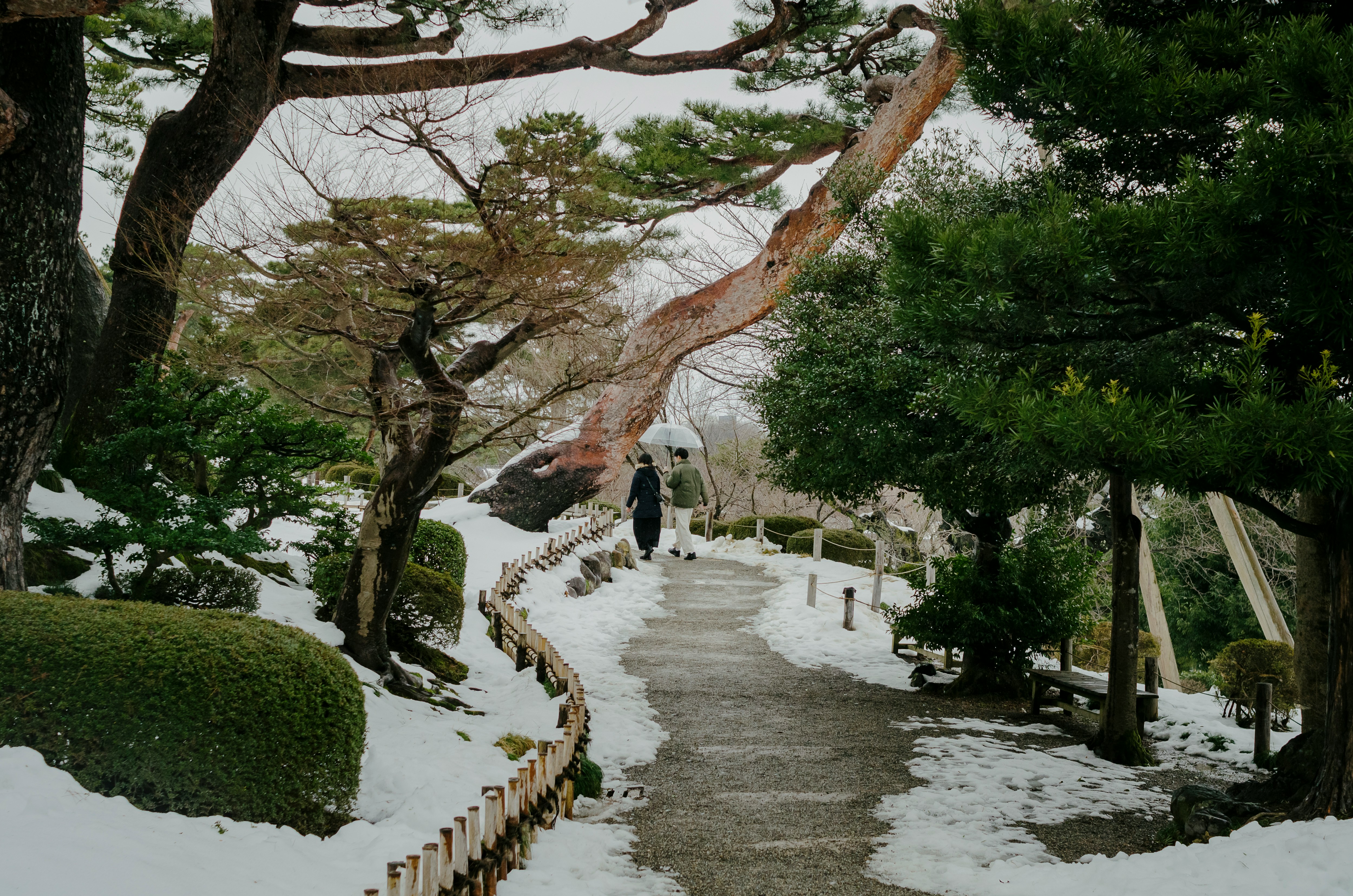 A person walking on a snowy path