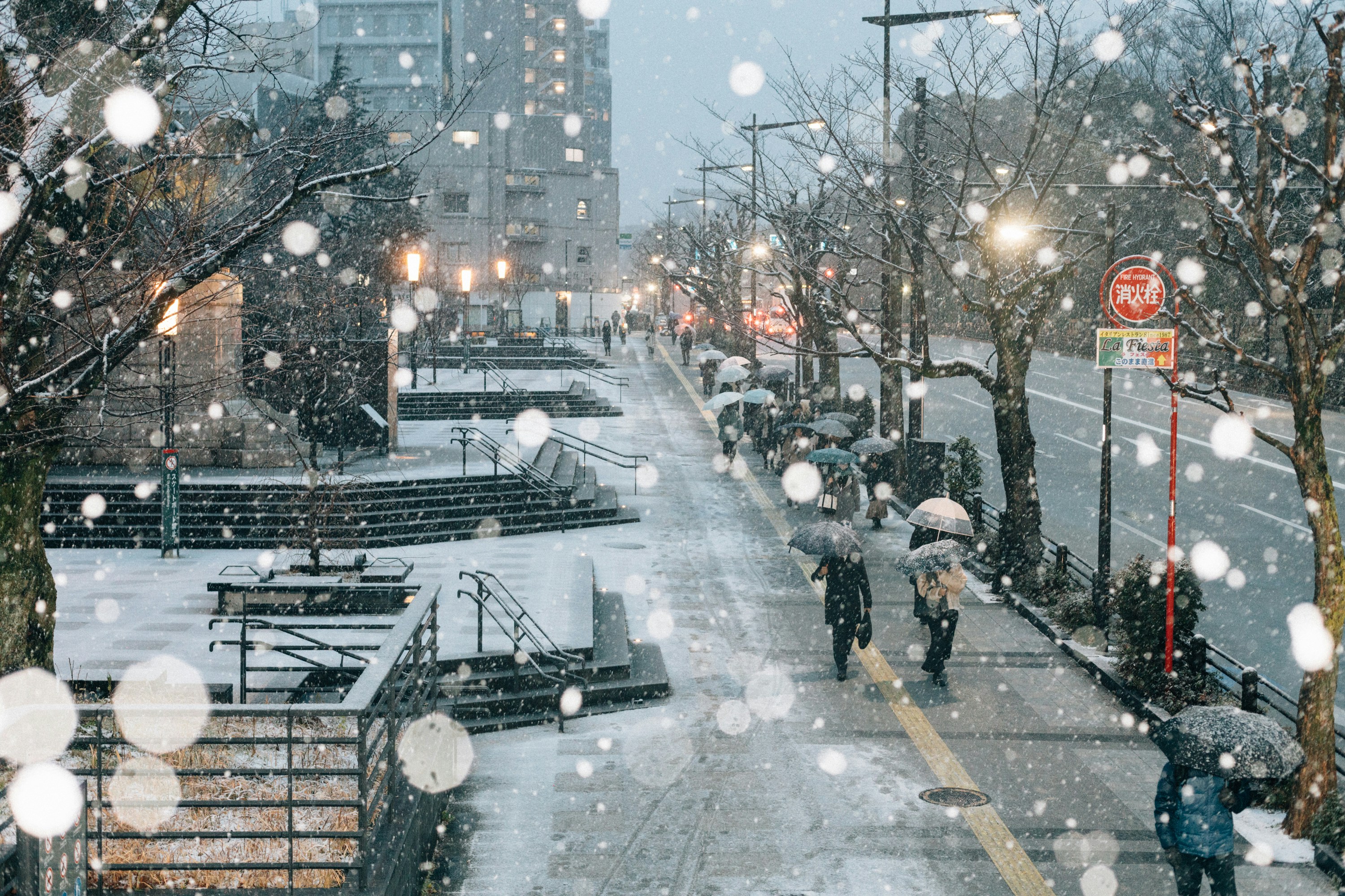 Tokyo snow
