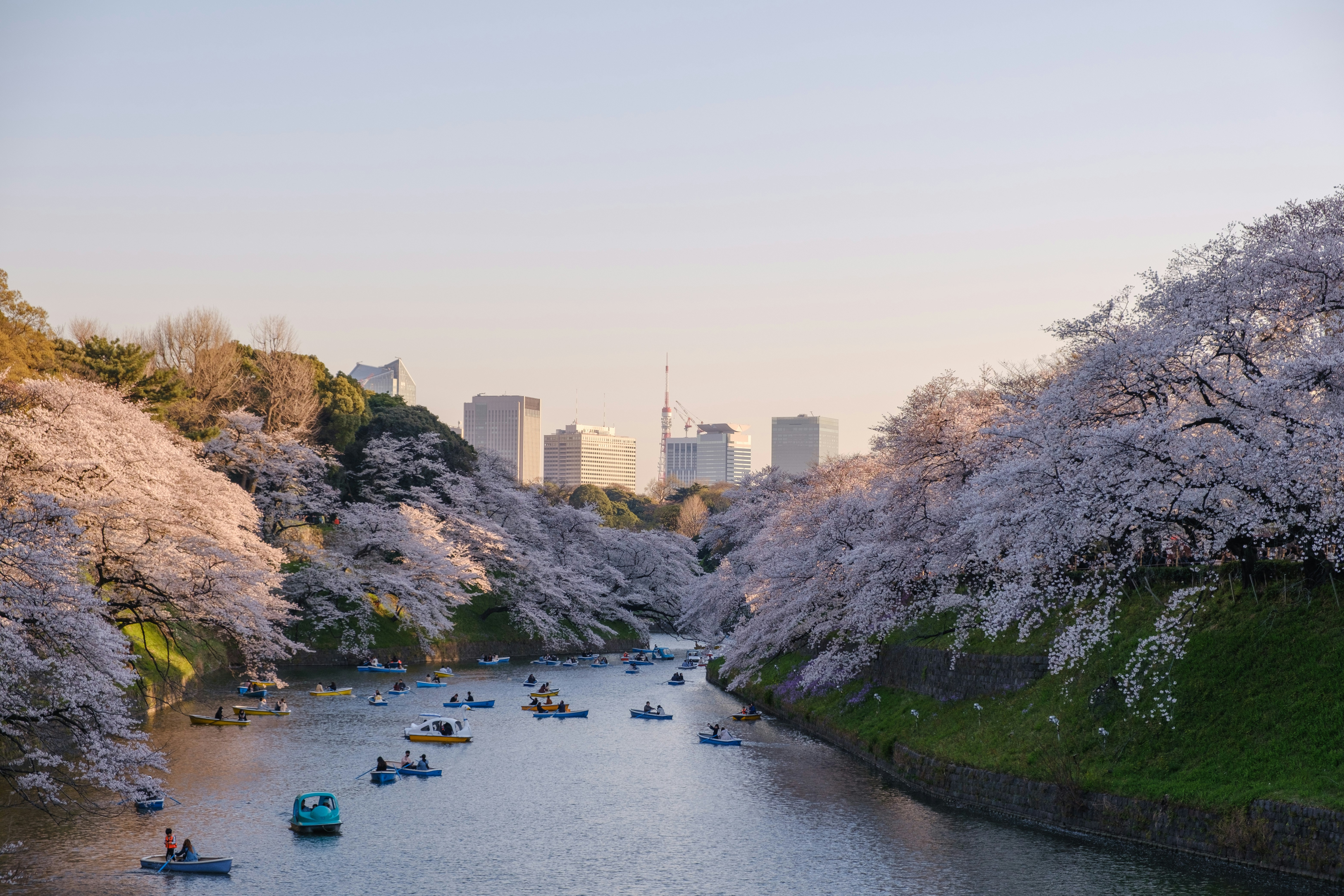 Tokyo