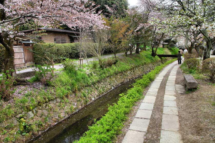 Philosopher's Walk Kyoto