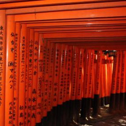 The Fushimi Inari Shrine