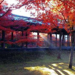 Kyoto Tofukuji