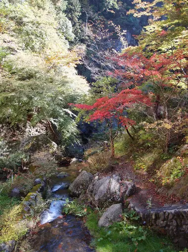 La vallée de Hatonosu, Okutama