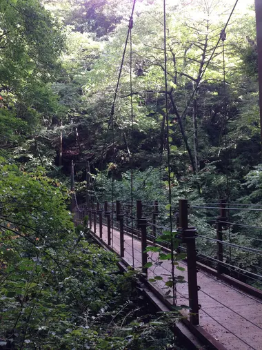 Mount Takao Trail No.4 Suspension Bridge