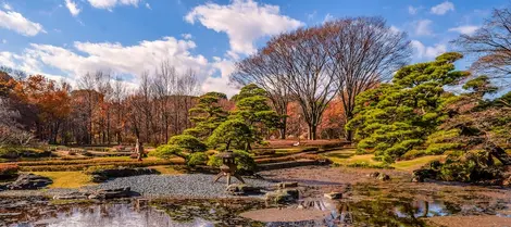 Pond with stone lantern on the edge and trees in the background