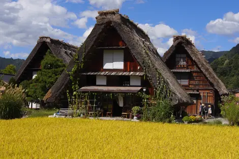 Shirakawago 