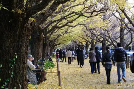Le jardin Meiji jingu à Tokyo