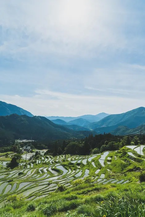 Maruyama à Kumano