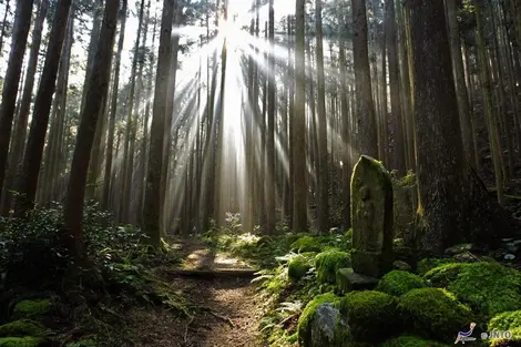 Kumano Ancient Road Nakahechi-route