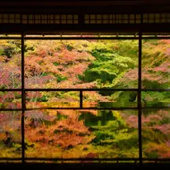 Temple in Kyoto with amazing autumn foliage