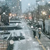 Tokyo snow