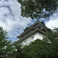 Wakayama Castle