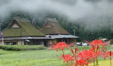 Miyama