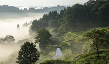 Rice terraces with the lower part of the valley in mist