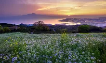 Campagne japonaise sur l'île de Kyushu au Japon, dans les environs de Kumamoto