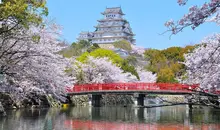 Le château de Himeji, le plus célèbre du Japon.