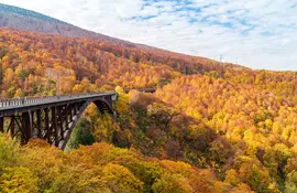 Pont au milieu des forêts d'Aomori en automne