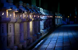 Ein Weg durch den alten buddhistischen Friedhof von Okunoin in Koyasan