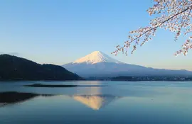 Mount Fuji during cherry blossom (Sakura)