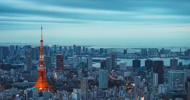 Tokyo skyline in the evening. 