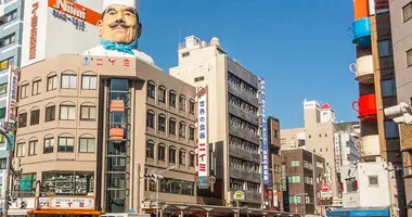 Japan Visitor - kappabashi_tokyo.jpg