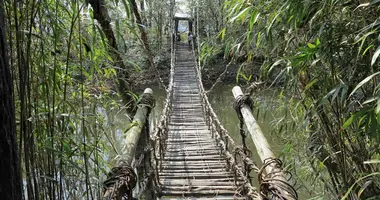 Japan Visitor - shikoku-mura-1.jpg