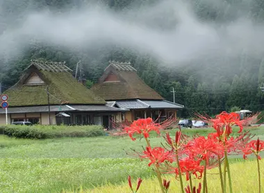 Miyama