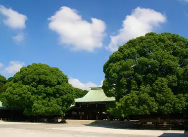 Le sanctuaire Meiji-jingu est un témoignage de la reconnaissance des Japonais pour l’empereur Meiji (1852-1912) et de son épouse, l’impératrice Shôken (1849-1914). 