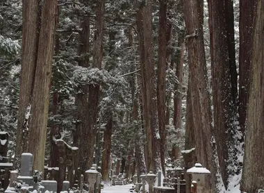 Cementerio Okunoin en Koyasan