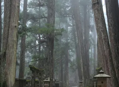 Cementerio Okunoin en Koyasan