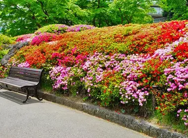Hakone Gora Kuen