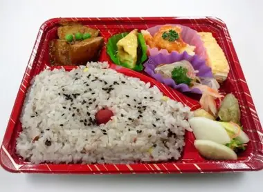 The ekiben come in the form of compartmentalized trays'm leaving commen all bentos.