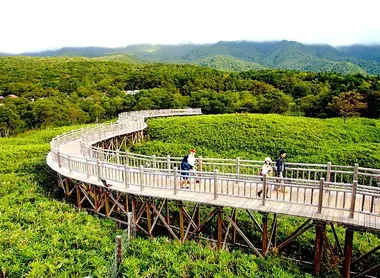 Au Sud, le parc de Shiretoko est organisé pour un tourisme "à la japonaise", en essayant de réduire l'empreinte de la fréquentation de masse sur une nature fragile.