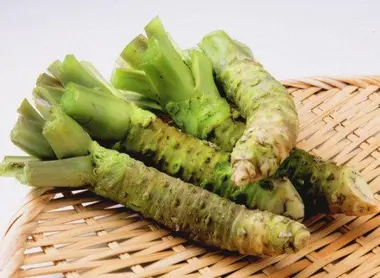 Las raíces de wasabi deben mantenerse en el refrigerador en una taza de agua para mantener su frescura.