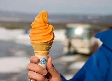 El famoso y delicioso helado de melon de Hokkaido.