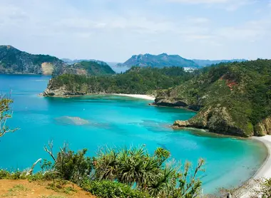 Le parc national d'Ogasawara sur l'île "Chichijima" ou île "père" 