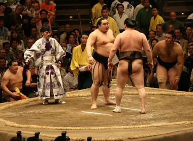 Sumo