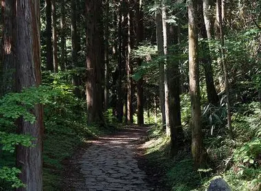 La route de Nakasendo entre Magome et Tsumago.