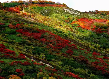 Ginsendai, parc national Daisetsuzan