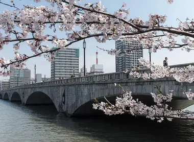 Le pont Bandai au moment des cerisiers en fleurs