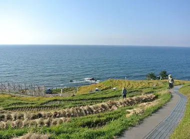 The terraced fields and rice fields of Senmaida