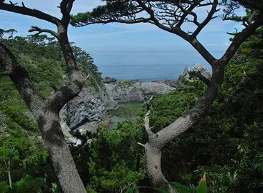 La isla de Shikine-jima tiene vegetación y relieves.