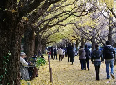 Le jardin Meiji jingu à Tokyo